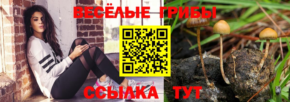 Кашира  Галлюциногенные грибы MAGIC MUSHROOMS  Галлюциногенные грибы мухоморы  Вход с VPN 